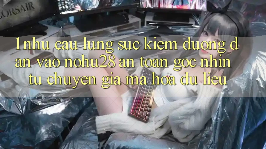 1. Nhu Cầu Lùng sục Kiếm Đường dẫn Vào Nohu28 An toàn - Góc Nhìn Từ Chuyên Gia Mã hóa dữ liệu 1. Nhu Cầu Lùng sục Kiếm Đường dẫn Vào Nohu28 An toàn - Góc Nhìn Từ Chuyên Gia Mã hóa dữ liệu