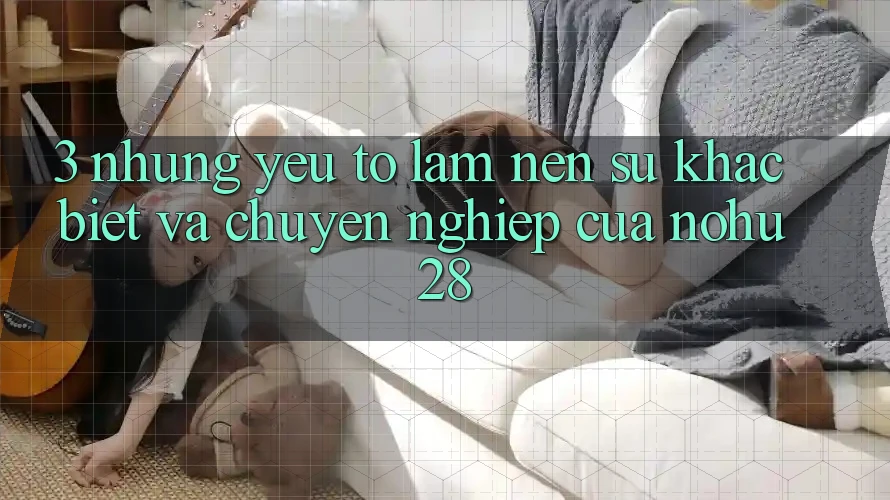 3. Những Yếu Tố Làm Nên Sự Khác Biệt Và Chuyên nghiệp Của Nohu28 3. Những Yếu Tố Làm Nên Sự Khác Biệt Và Chuyên nghiệp Của Nohu28
