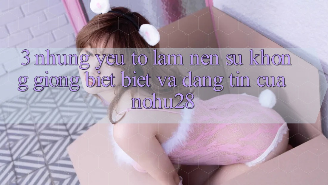 3. Những Yếu Tố Làm Nên Sự Không giống biệt Biệt Và Đáng tin Của Nohu28