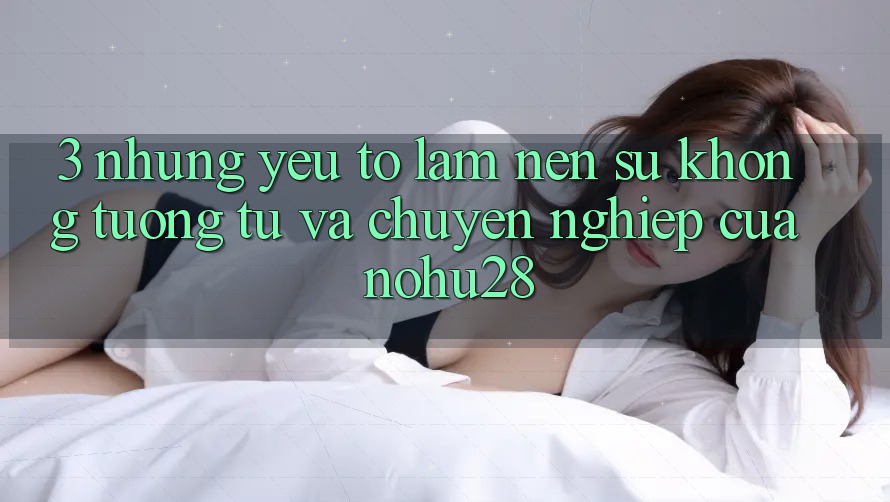 3. Những Yếu Tố Làm Nên Sự Không tương tự Và Chuyên nghiệp Của Nohu28