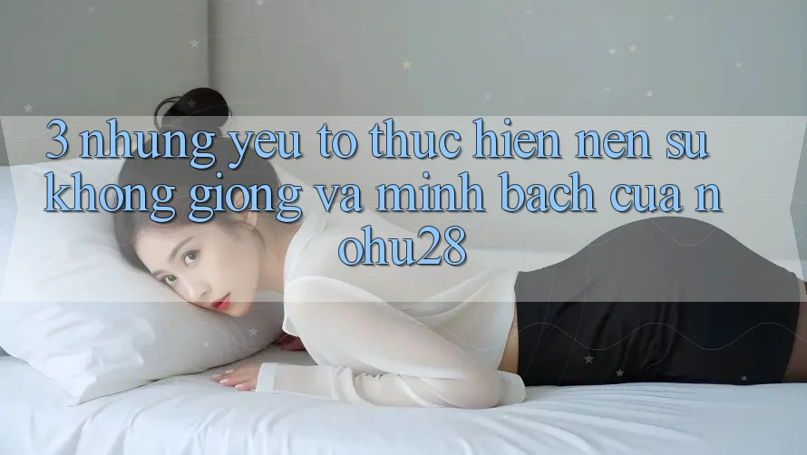 3. Những Yếu Tố Thực hiện Nên Sự Không giống Và Minh bạch Của Nohu28