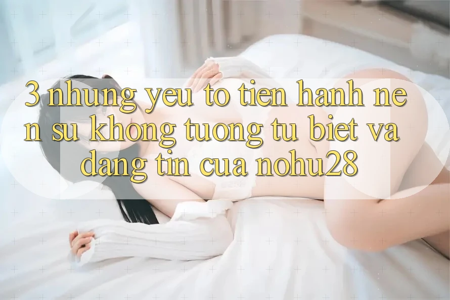 3. Những Yếu Tố Tiến hành Nên Sự Không tương tự biệt Và Đáng tin Của Nohu28 3. Những Yếu Tố Tiến hành Nên Sự Không tương tự biệt Và Đáng tin Của Nohu28