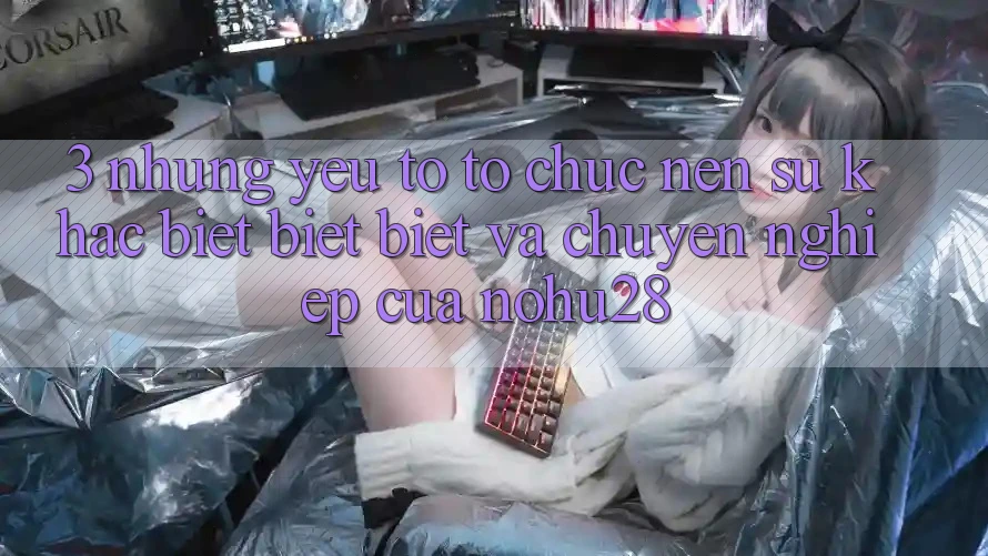 3. Những Yếu Tố Tổ chức Nên Sự Khác biệt biệt Biệt Và Chuyên nghiệp Của Nohu28 3. Những Yếu Tố Tổ chức Nên Sự Khác biệt biệt Biệt Và Chuyên nghiệp Của Nohu28