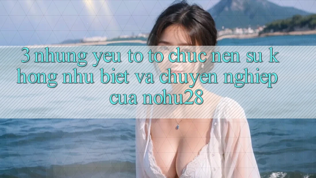 3. Những Yếu Tố Tổ chức Nên Sự Không như Biệt Và Chuyên nghiệp Của Nohu28