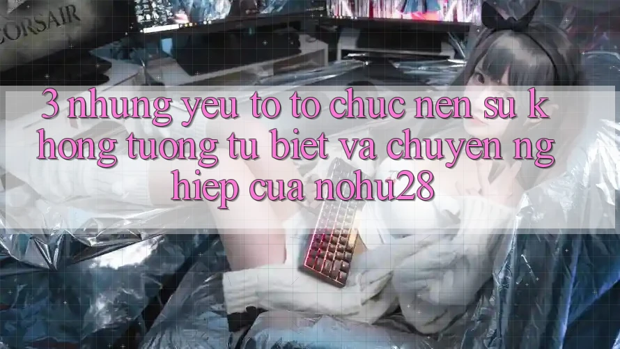3. Những Yếu Tố Tổ chức Nên Sự Không tương tự Biệt Và Chuyên nghiệp Của Nohu28 3. Những Yếu Tố Tổ chức Nên Sự Không tương tự Biệt Và Chuyên nghiệp Của Nohu28