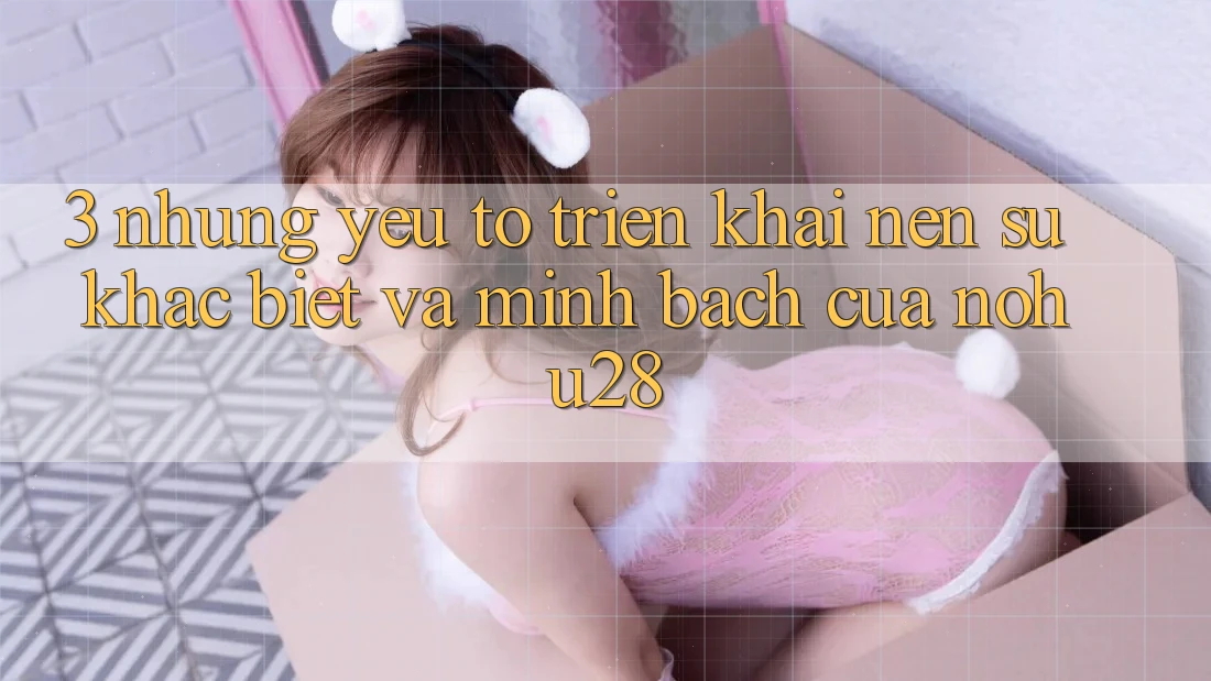 3. Những Yếu Tố Triển khai Nên Sự Khác biệt Và Minh bạch Của Nohu28