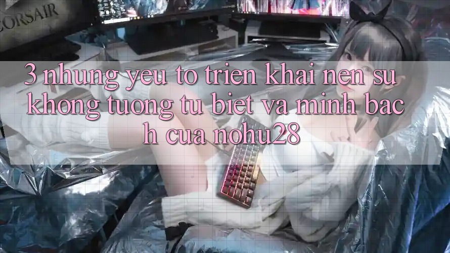 3. Những Yếu Tố Triển khai Nên Sự Không tương tự Biệt Và Minh bạch Của Nohu28
