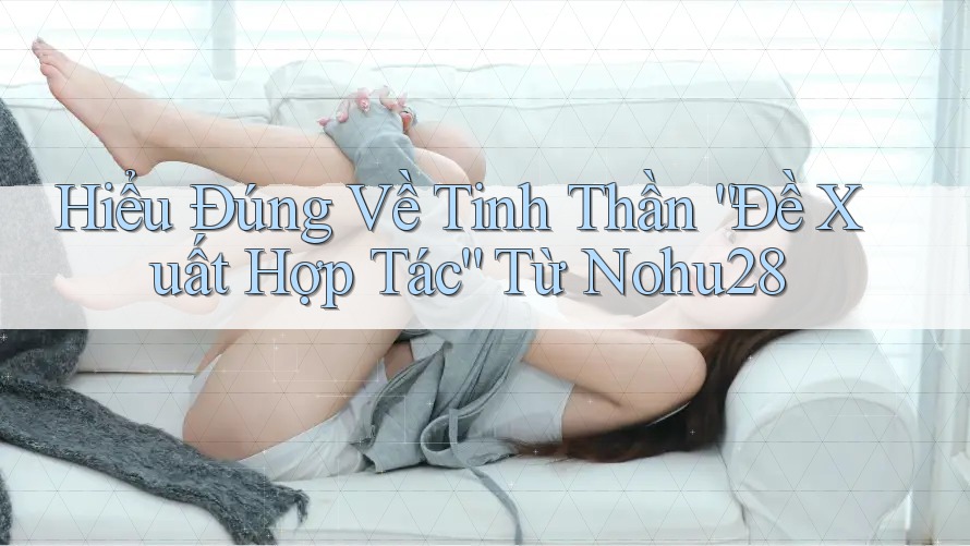 Hiểu Đúng Về Tinh Thần “Đề Xuất Hợp Tác” Từ Nohu28 Hiểu Đúng Về Tinh Thần “Đề Xuất Hợp Tác” Từ Nohu28