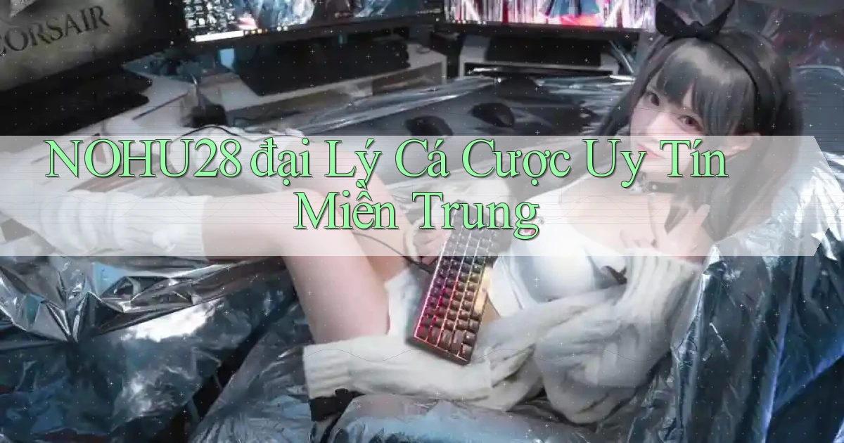 nohu28  đại lý cá cược uy tín miền trung