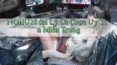 nohu28  đại lý cá cược uy tín miền trung