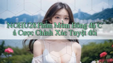 nohu28  phần mềm bóng đá cá cược chính xác tuyệt đối