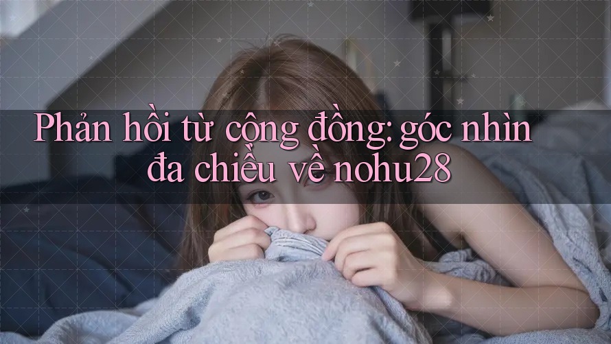 Phản hồi từ cộng đồng: góc nhìn đa chiều về nohu28 Phản hồi từ cộng đồng: góc nhìn đa chiều về nohu28