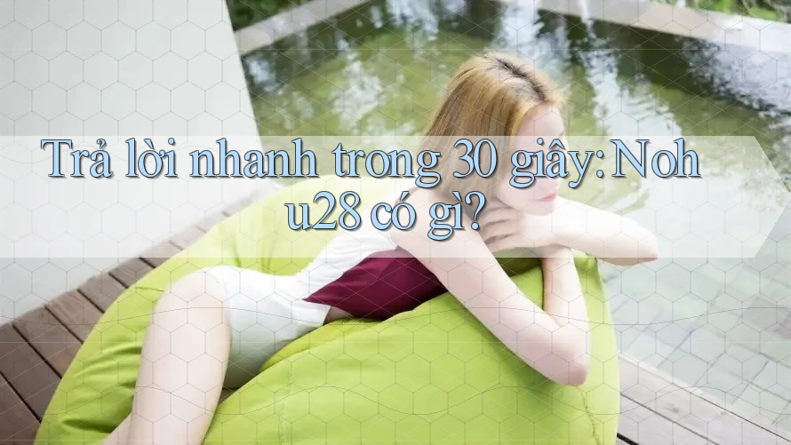 Trả lời nhanh trong 30 giây: Nohu28 có gì? Trả lời nhanh trong 30 giây: Nohu28 có gì?