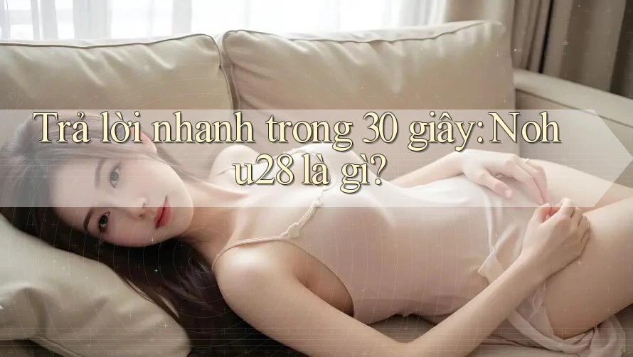 Trả lời nhanh trong 30 giây: nohu28 là gì? Trả lời nhanh trong 30 giây: nohu28 là gì?